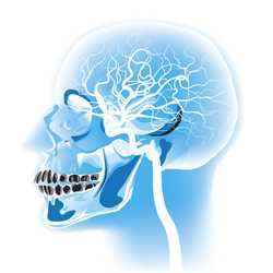 Paying for a Psychology Education Paying for a Psychology Education