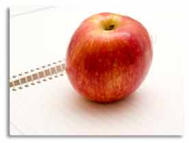 What Makes a Good Occupational Therapy Student?